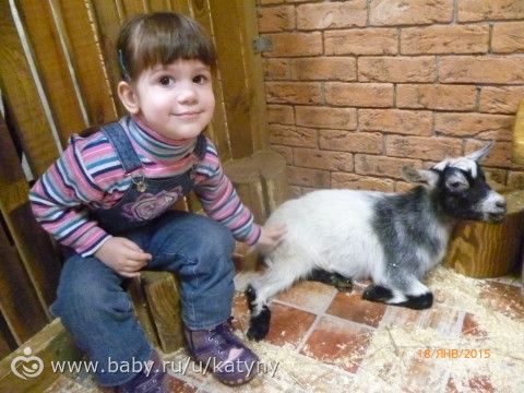 Были сегодня в ручном зоопарке!