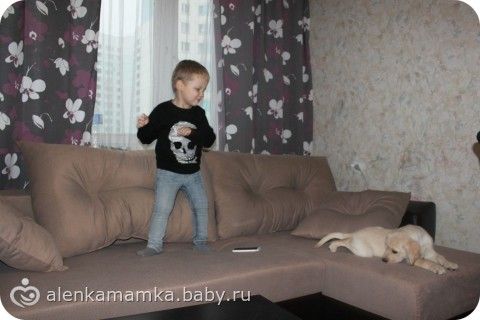 Что делать с собакой?Сил моих больше нет((((((((