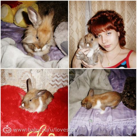 Любовь, длиною почти в 6 лет)) Четверолапая длинноухая)