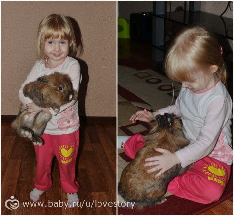 Любовь, длиною почти в 6 лет)) Четверолапая длинноухая)