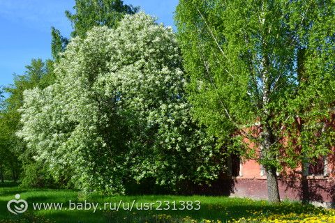 Преображение -день131. Интерактивная пробежка.