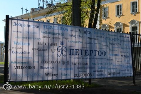 Преображение -день131. Интерактивная пробежка.