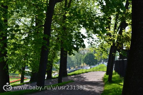 Преображение -день131. Интерактивная пробежка.