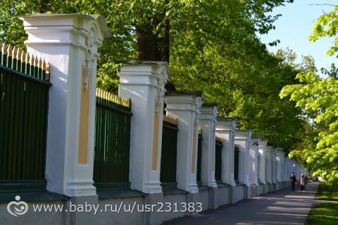 Преображение -день131. Интерактивная пробежка.