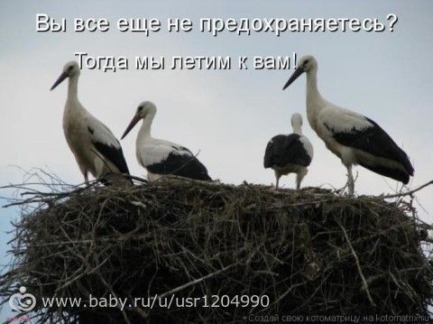 Приколы из интернета)))