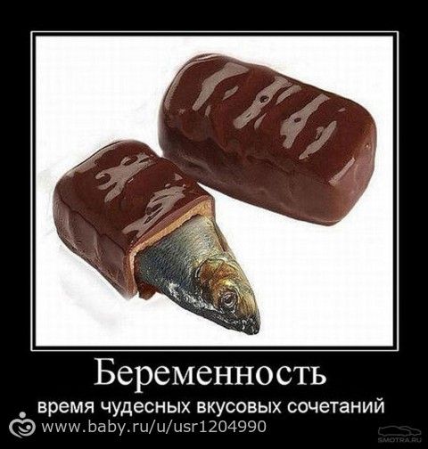 Приколы из интернета)))