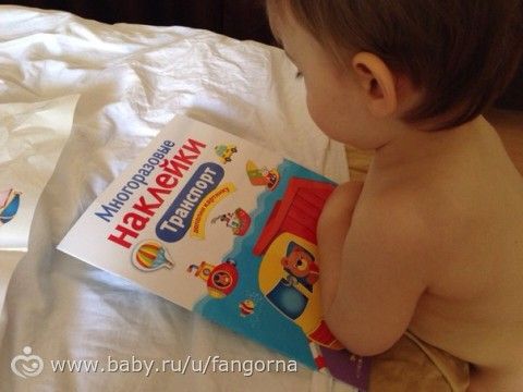 Отчет по ТН &quot;Транспорт&quot;
