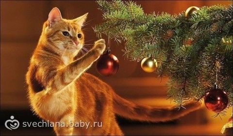 Флай полет для продолжающих на среду 25.12.13