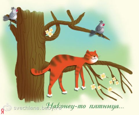 Флай полет для продолжающих на пятницу 14.11.14
