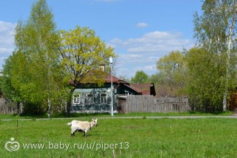 Мини-каникулы, часть 3. Суздаль.