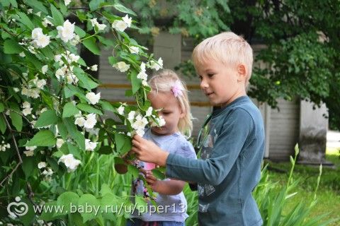Мини-каникулы в Ярославле!