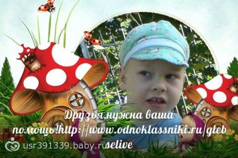 Глеб Селиверстов. 6 лет. Борьба с ДЦП