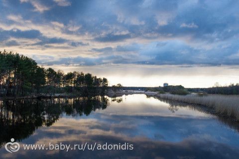 Фотопроект 365/2 День 250 &quot;Впечатления&quot;