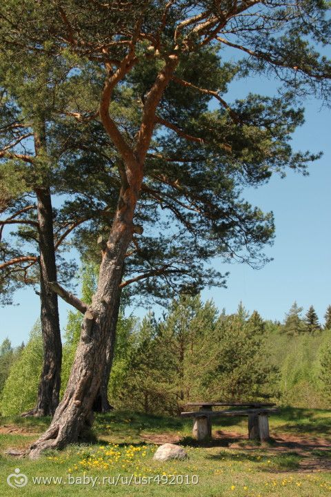 наша майская прогулка)