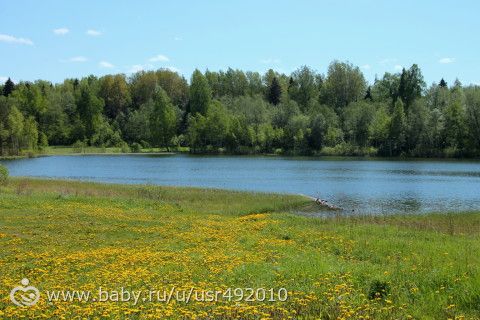 наша майская прогулка)