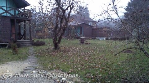 Мой сад весной, летом и осенью.