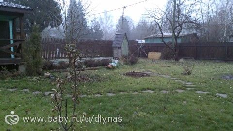 Мой сад весной, летом и осенью.