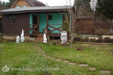 Мой сад весной, летом и осенью.