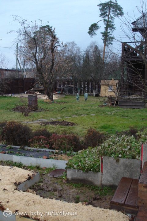 Мой сад весной, летом и осенью.