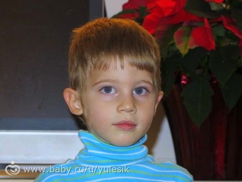 Maxim i mnogo bykv i photo )))
