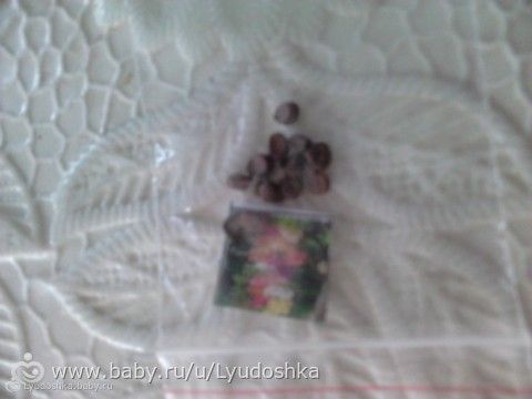 Вопросец садоводам)