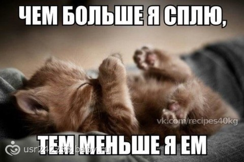 -60, день 83