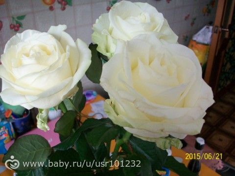 My birthday