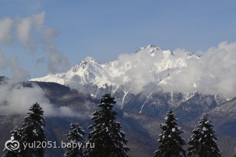 Как мы съездили на Олимпиаду в Сочи. Продолжение. Как мы съездили на Олимпиаду в Сочи. Продолжение.