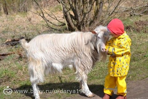 Петрозаводск