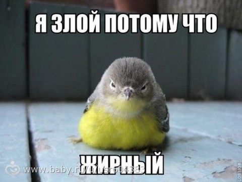 Марафон Я смогу день 44.