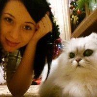 Развитие ребенка на 13 неделе беременности Развитие ребенка на 13 неделе беременности