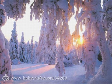 Зимний коллективный Взлёт ФлайЛеди Шаг 1/31