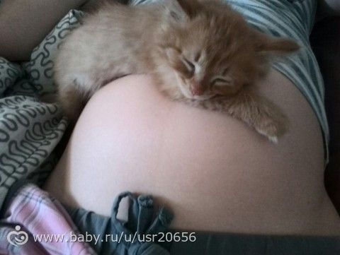 24 недели, юпииии вчерашний поход к гинекологу