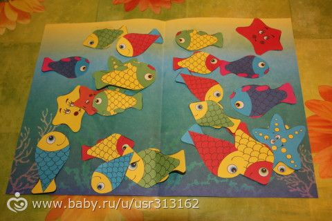 Марафон &quot;Обитатели морей и океанов&quot;. День 4, 5.