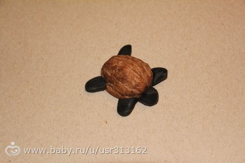 Марафон &quot;Обитатели морей и океанов&quot;. День 4, 5.