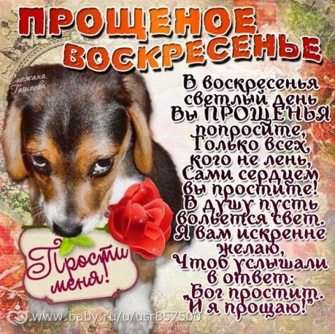 Девчули простите меня за все, за все!!!!!!!