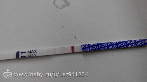 тестик