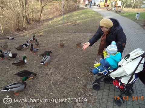 А вот и мы)))) Большоой фотоотчет о нашей немецкой зиме))))