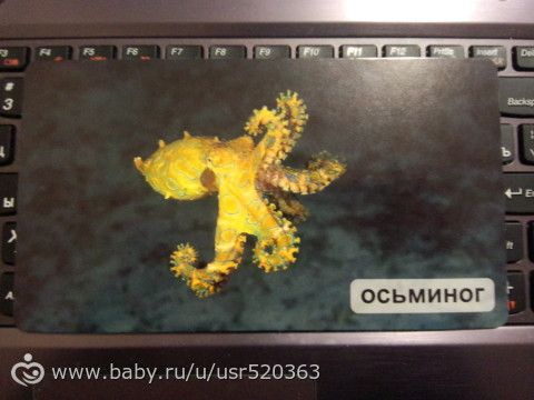 Моя оценка карточкам &quot;Мир на ладошке&quot; +фото