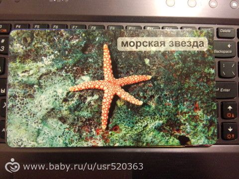 Моя оценка карточкам &quot;Мир на ладошке&quot; +фото