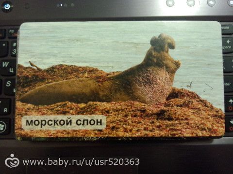 Моя оценка карточкам &quot;Мир на ладошке&quot; +фото