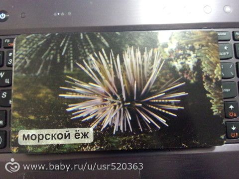 Моя оценка карточкам &quot;Мир на ладошке&quot; +фото