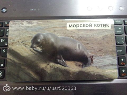 Моя оценка карточкам &quot;Мир на ладошке&quot; +фото