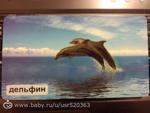 Моя оценка карточкам &quot;Мир на ладошке&quot; +фото