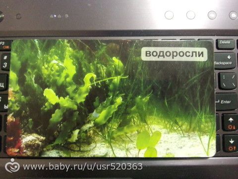 Моя оценка карточкам &quot;Мир на ладошке&quot; +фото
