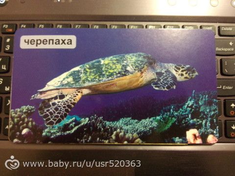Моя оценка карточкам &quot;Мир на ладошке&quot; +фото