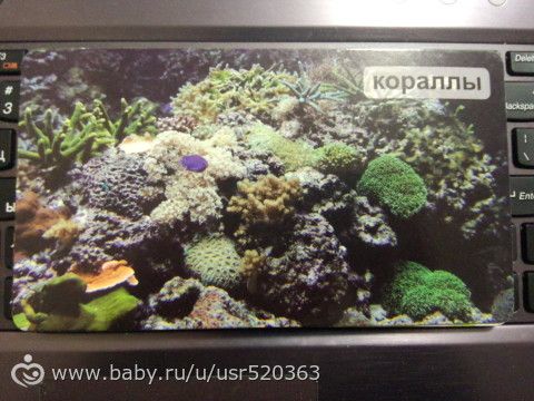 Моя оценка карточкам &quot;Мир на ладошке&quot; +фото