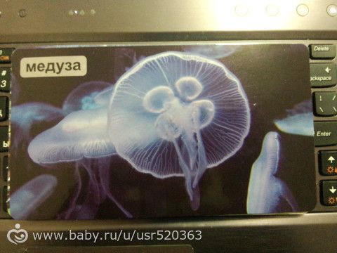 Моя оценка карточкам &quot;Мир на ладошке&quot; +фото