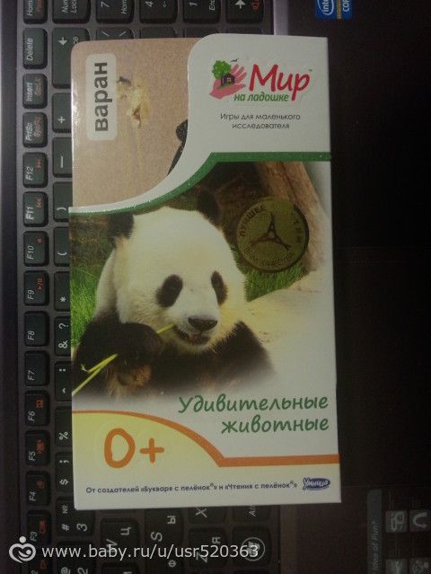 Оценка карточек Мир на ладошке с фото (удивительные животные)