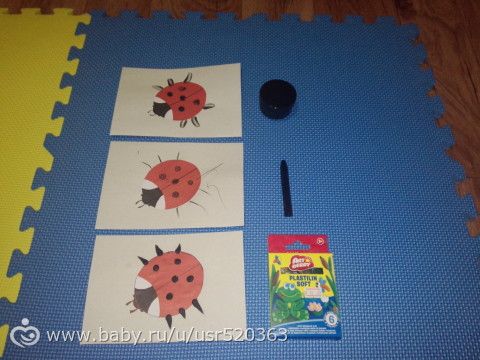 наши жуки (по мотивам школы 7 гномов)